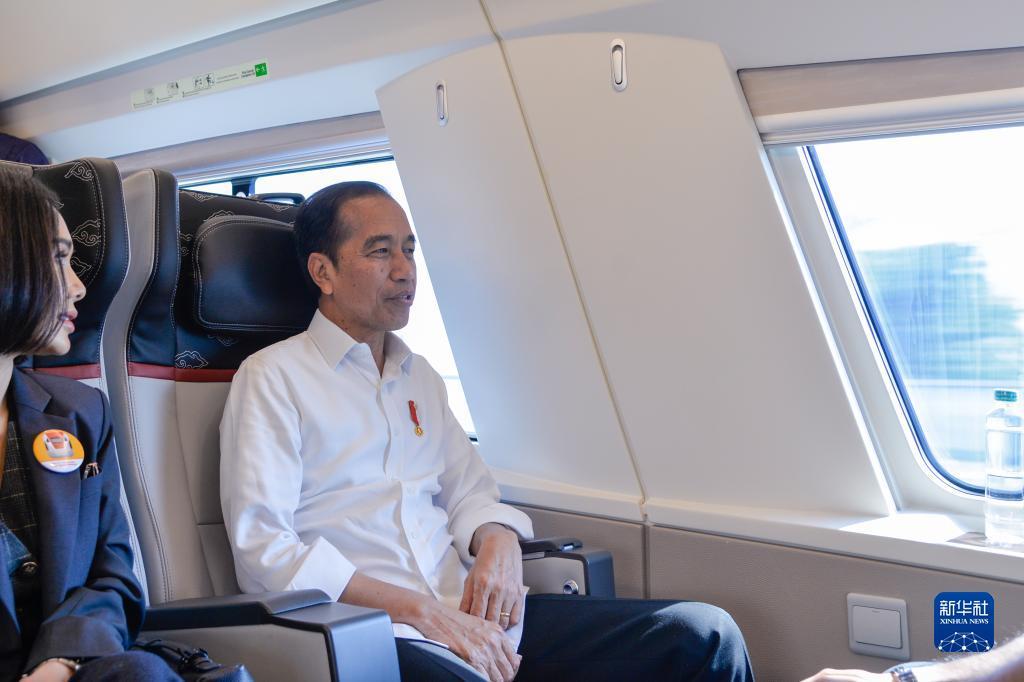 小笨虎娱乐